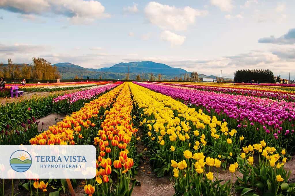 Abbotsford Hypnotherapy Services