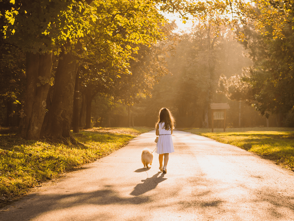 Past Life Regress Hypnotherapy